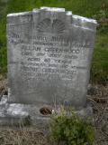 image of grave number 118718